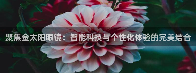 辉达娱乐属于什么档次
