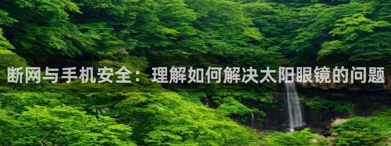 龙腾辉达电子娱乐