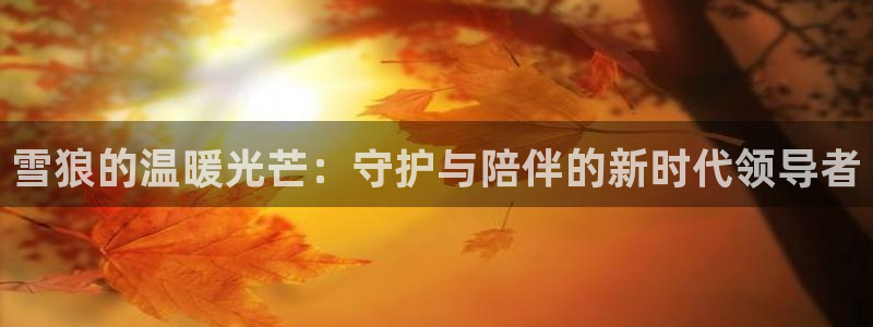 达利娱乐王辉