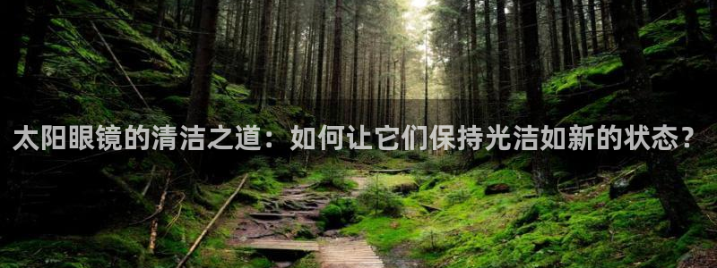 辉达娱乐多少年