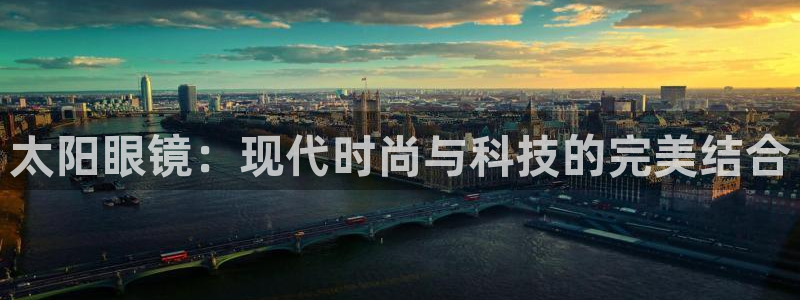 辉达娱乐公司