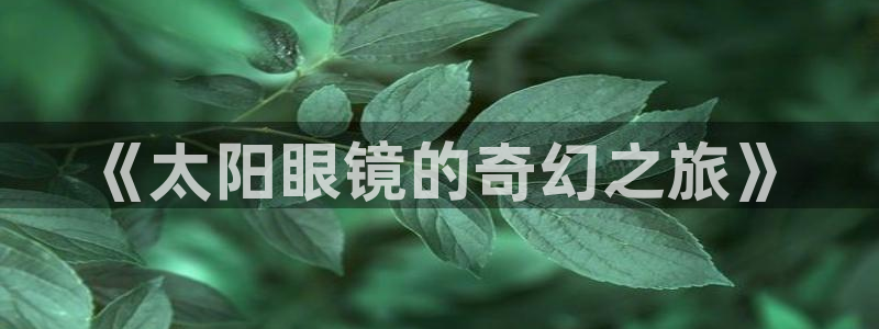 辉达娱乐时时彩