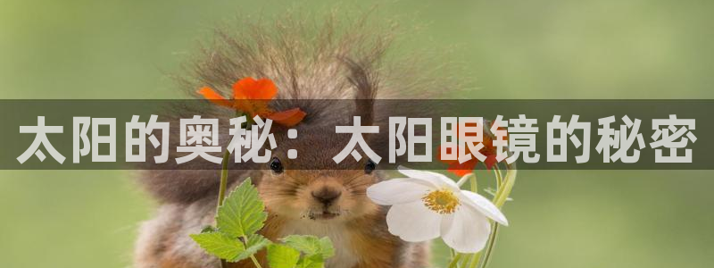 辉达娱乐新疆时时彩