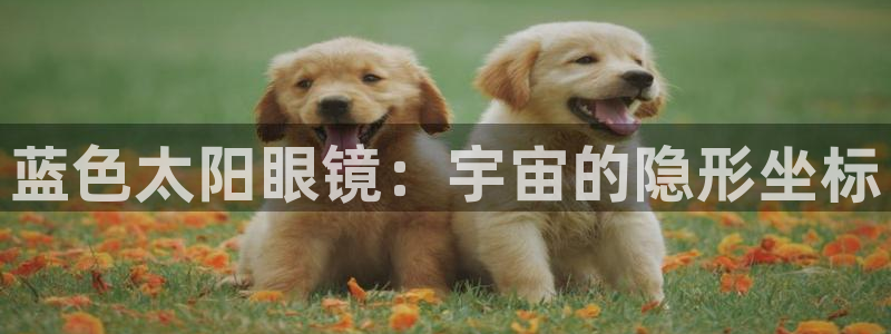 代理辉达娱乐平台