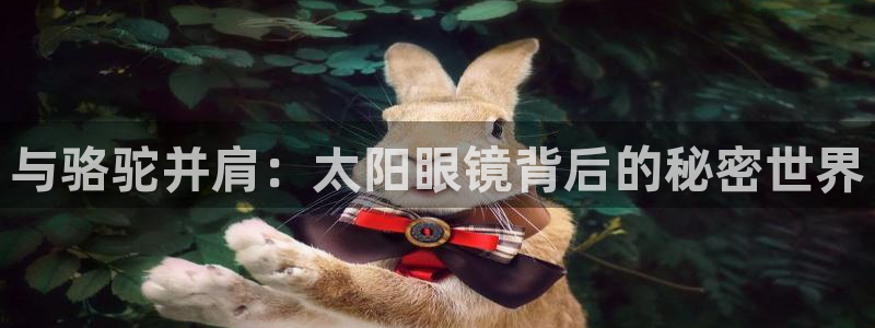 辉达娱乐123123