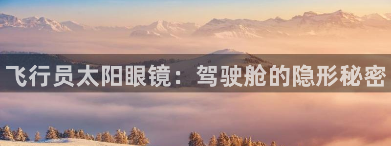 辉达娱乐官网