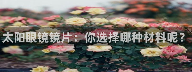 辉达娱乐体育竞猜