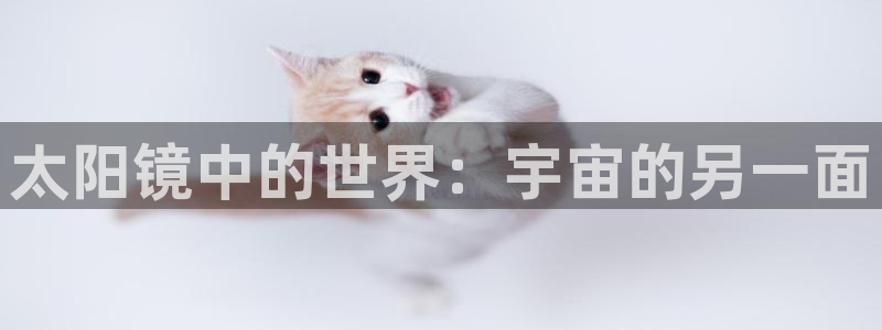 辉达娱乐丿39444
