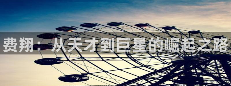 辉达娱乐电子