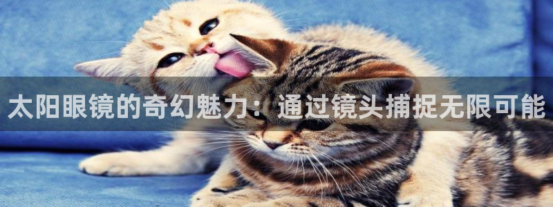 辉达平台官网电话