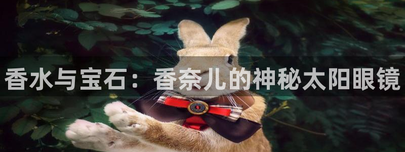 辉达怎么样