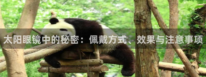 辉达娱乐最新消息新闻