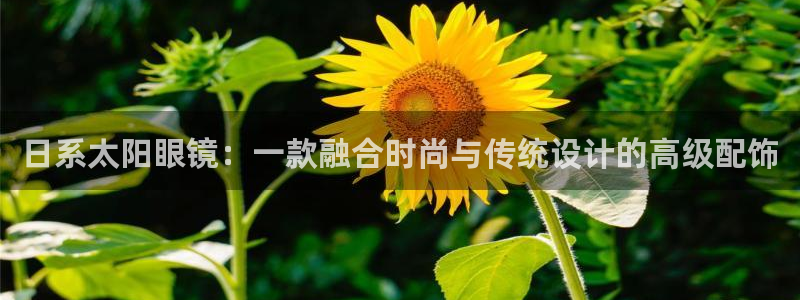 辉达平台娱乐怎么样
