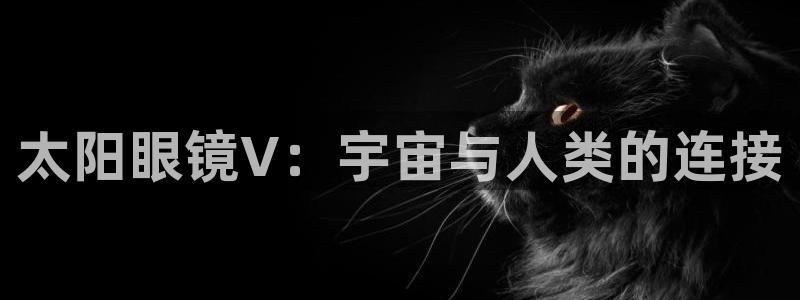 辉达娱乐游戏.直开.中国