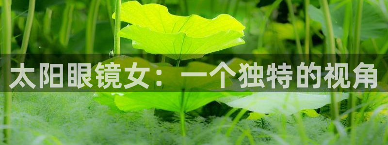 辉达娱乐衤39444
