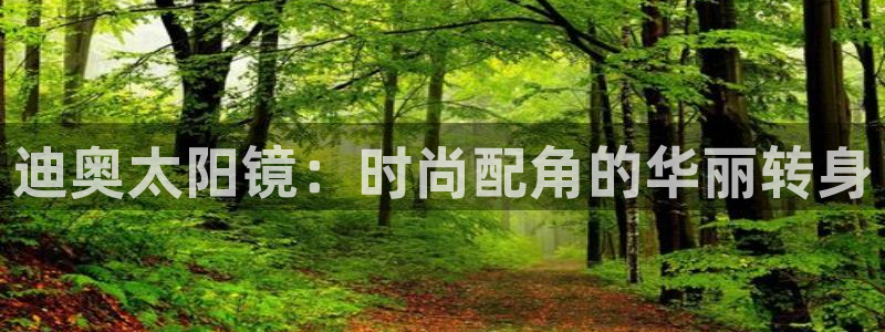 信誉辉达娱乐