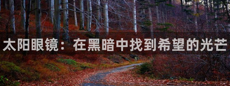 辉达娱乐ag游戏平台