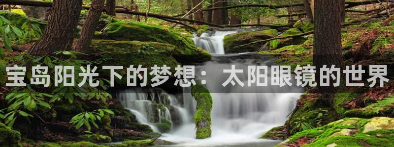 辉达娱乐丶75505