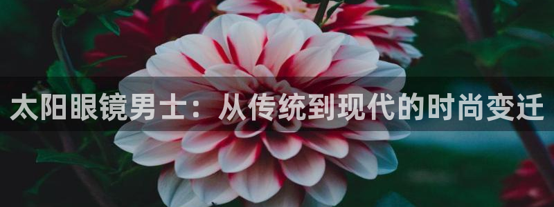 辉达平台官网电话