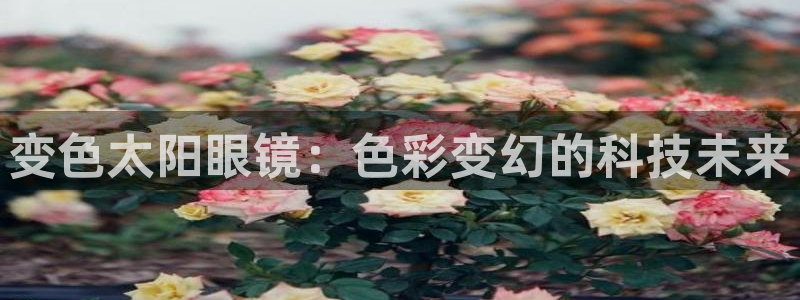 辉达娱乐衤39444