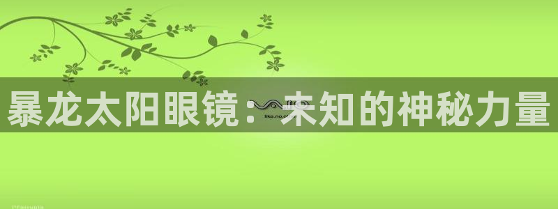 专业辉达娱乐平台