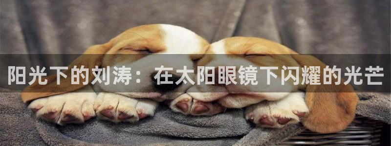 辉达平台娱乐怎么样