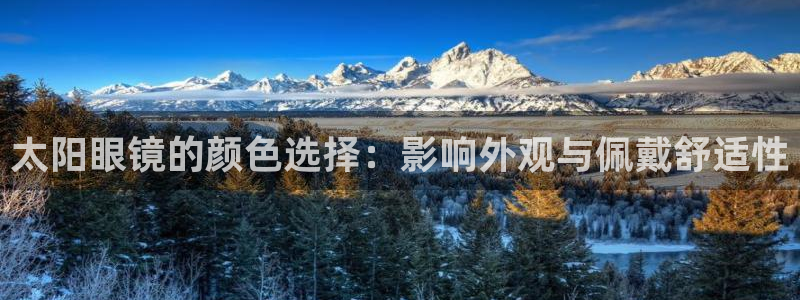 辉达娱乐五75505