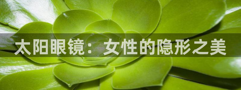 辉达娱乐电子游艺