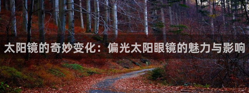 辉达娱乐重庆时时彩