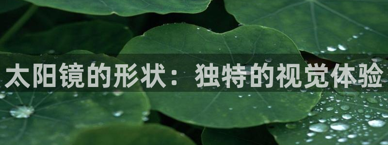 信誉辉达娱乐官方网址