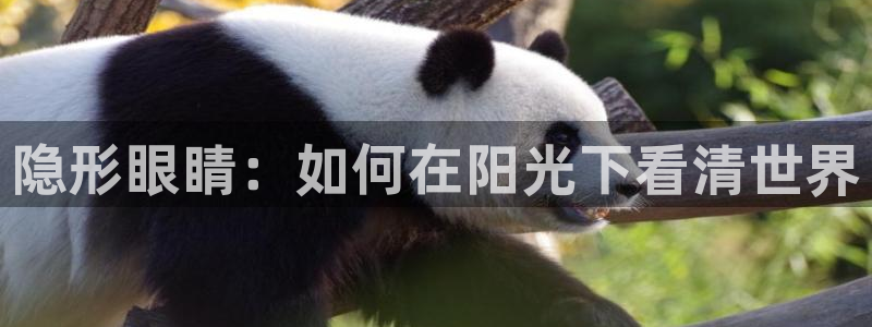 辉达娱乐五39444