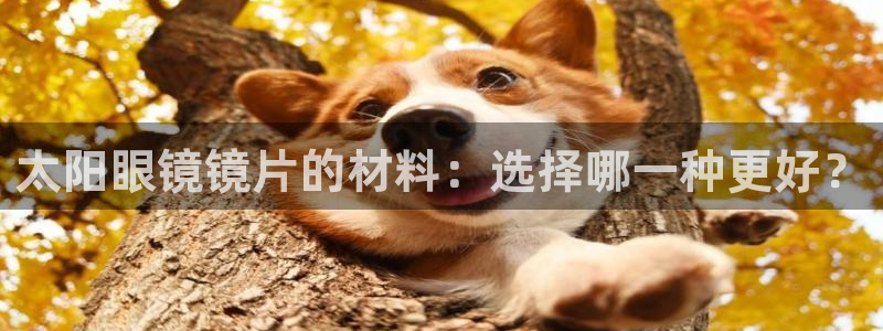 辉达平台官网首页