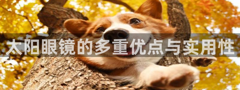 辉达娱乐丿39444