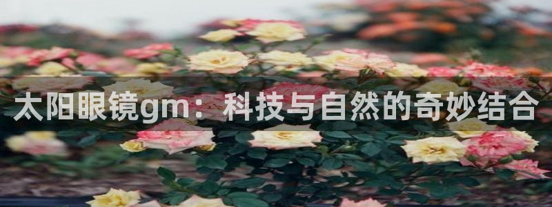 恒达娱乐辉70667