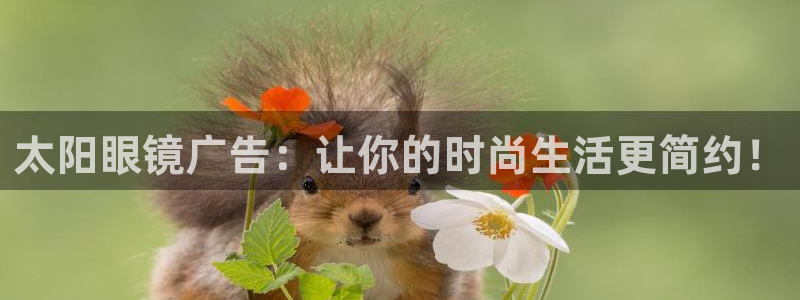 辉达娱乐电子游艺