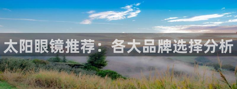 代理辉达娱乐平台