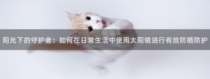 专业辉达娱乐在线游戏