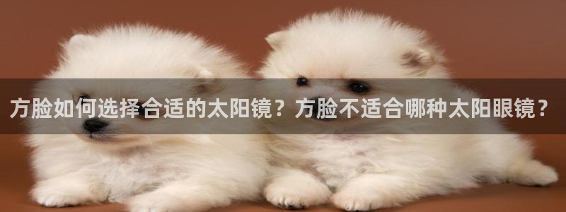 辉达娱乐最新消息新闻