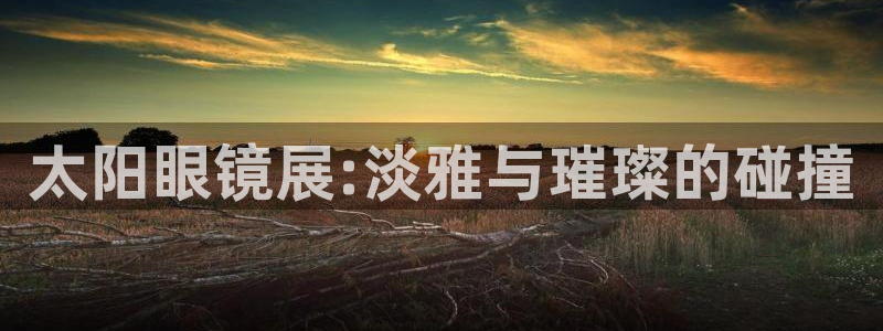 辉达娱乐己39444