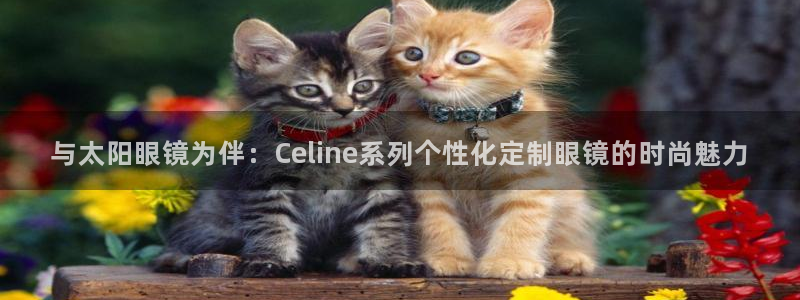 辉达娱乐属于什么档次