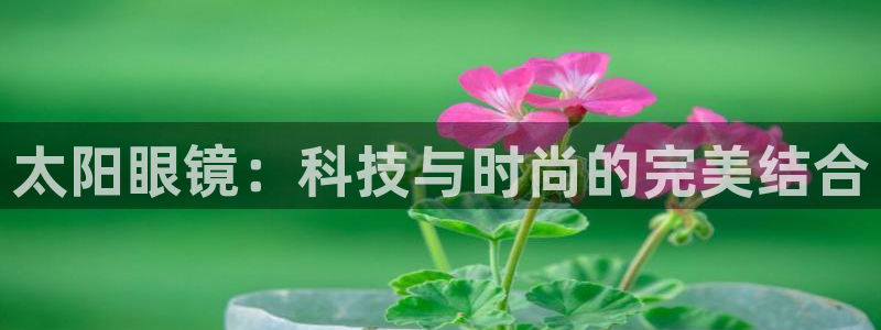 辉达娱乐彳75775