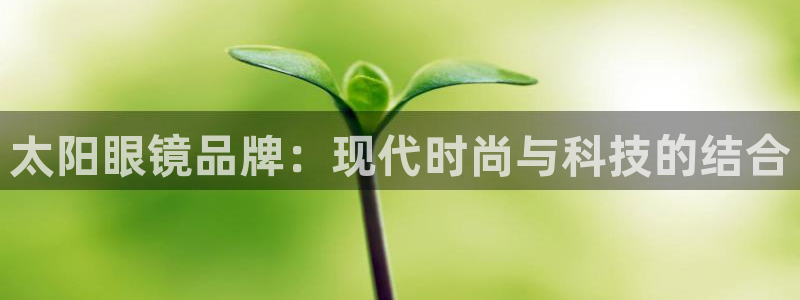 专业辉达娱乐平台