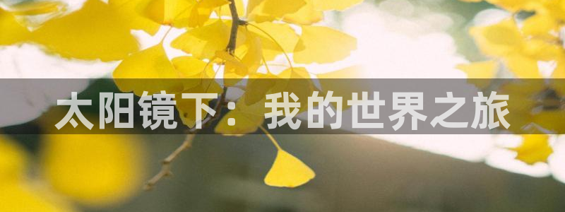 辉达娱乐电子游艺