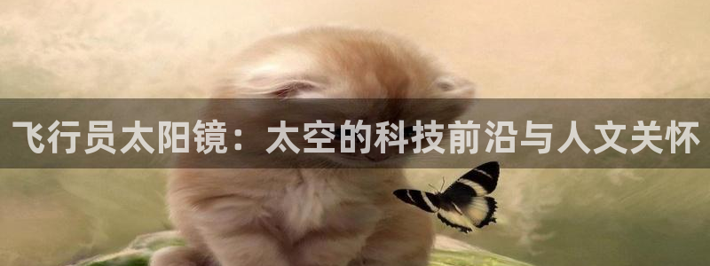 辉达娱乐官方网址