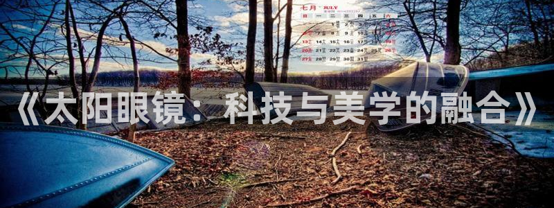 辉达平台官网电话