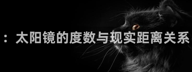 代理辉达娱乐官方网址