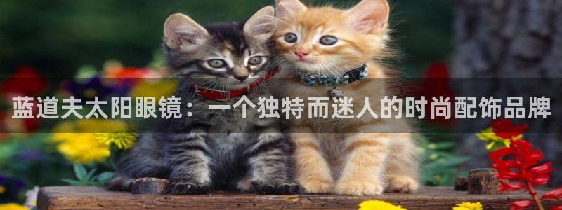 信誉辉达娱乐平台