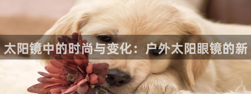 辉达娱乐五75505