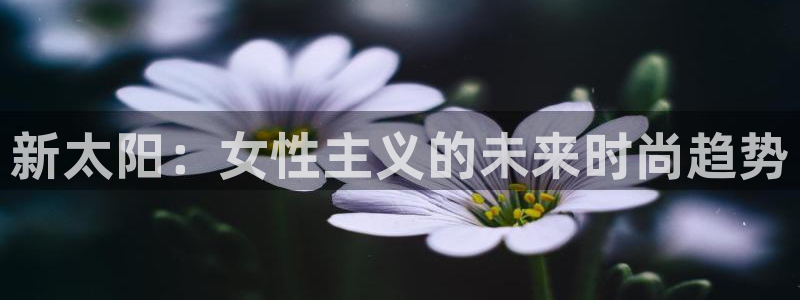 信誉辉达娱乐在线游戏