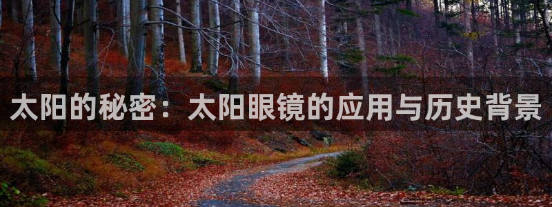 辉达娱乐体育竞猜